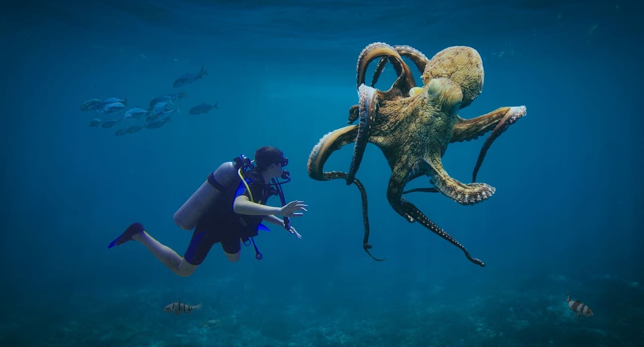 A person in the water with an octopus.