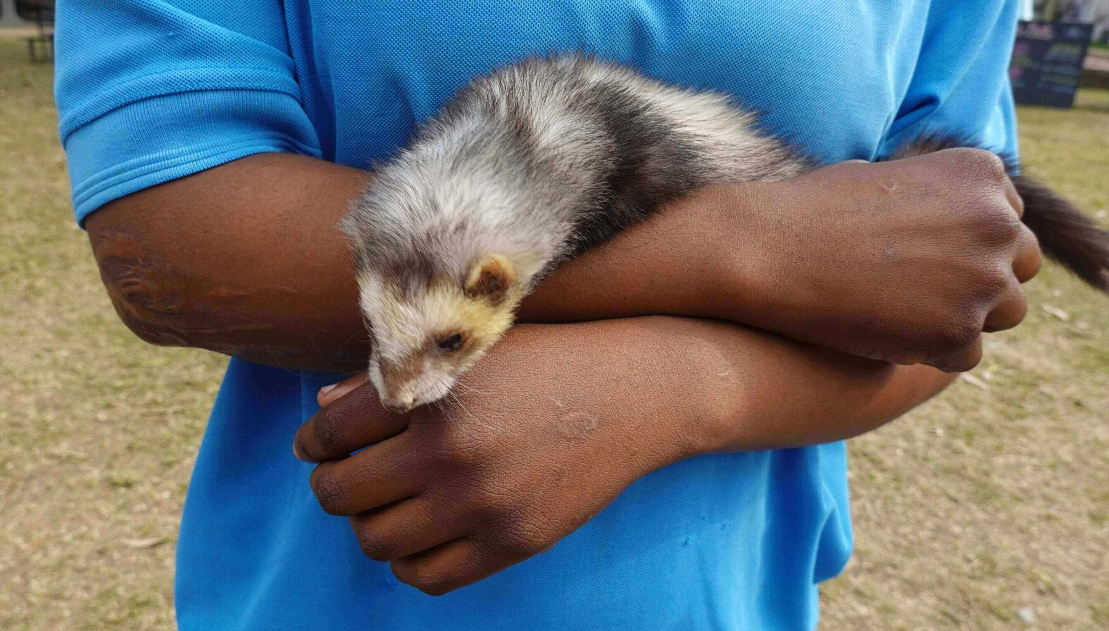 A person holding a small animal in their arms.