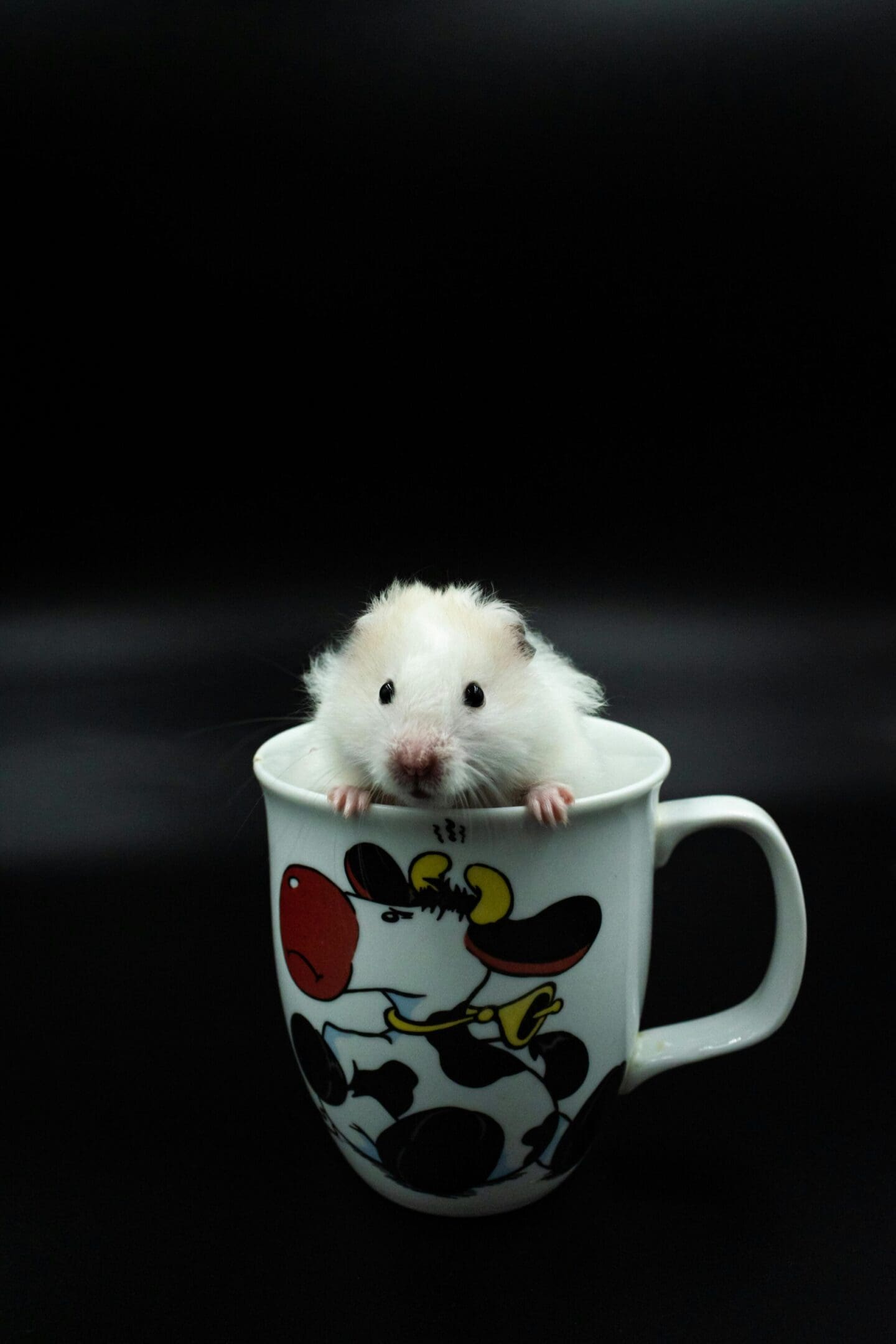A small hamster sitting in the middle of a cup.